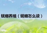 蜣螂养殖（蜣螂怎么读）