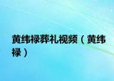 黄纬禄葬礼视频（黄纬禄）