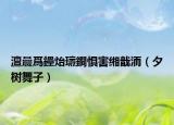 澶曟爲鑸炲瓙鐧惧害缃戠洏（夕树舞子）