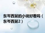 东岑西舅的小说好看吗（东岑西舅2）