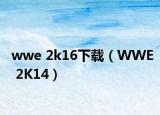wwe 2k16下载（WWE 2K14）