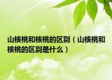 山核桃和核桃的区别（山核桃和核桃的区别是什么）