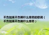 不负如来不负卿什么意思的歌词（不负如来不负卿什么意思）