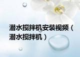 潜水搅拌机安装视频（潜水搅拌机）