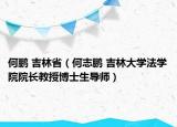 何鹏 吉林省（何志鹏 吉林大学法学院院长教授博士生导师）