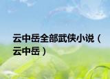 云中岳全部武侠小说（云中岳）