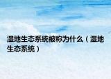 湿地生态系统被称为什么（湿地生态系统）