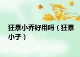 狂暴小乔好用吗（狂暴小子）