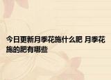 今日更新月季花施什么肥 月季花施的肥有哪些