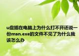 u盘插在电脑上为什么打不开还说一份msn.exe的文件不见了为什么我该怎么办