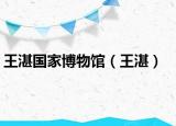 王湛国家博物馆（王湛）