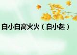 白小白高火火（白小起）
