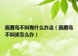 画眉鸟不叫有什么办法（画眉鸟不叫该怎么办）