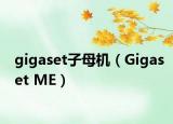 gigaset子母机（Gigaset ME）