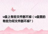 u盘上有些文件删不掉（u盘里的有些为何文件删不掉?）