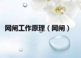 网闸工作原理（网闸）