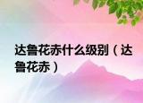 达鲁花赤什么级别（达鲁花赤）