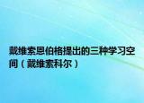 戴维索恩伯格提出的三种学习空间（戴维索科尔）