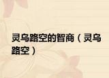 灵乌路空的智商（灵乌路空）