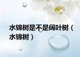 水锦树是不是阔叶树（水锦树）