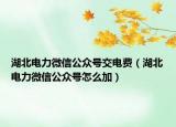 湖北电力微信公众号交电费（湖北电力微信公众号怎么加）