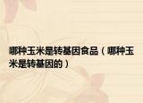 哪种玉米是转基因食品（哪种玉米是转基因的）