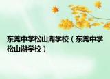 东莞中学松山湖学校（东莞中学松山湖学校）