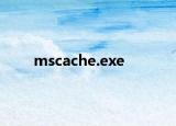 mscache.exe
