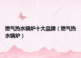 燃气热水锅炉十大品牌（燃气热水锅炉）