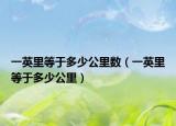 一英里等于多少公里数（一英里等于多少公里）