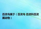 百灵鸟属于（百灵鸟 百灵科百灵属动物）