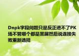 Dnpk字段问题只是反正进不了PK场不管哪个都是黑屏然后说连接失败重新选择