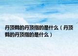 丹顶鹤的丹顶指的是什么（丹顶鹤的丹顶指的是什么）