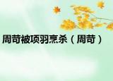 周苛被项羽烹杀（周苛）