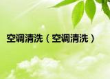 空调清洗（空调清洗）