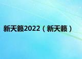 新天籁2022（新天籁）