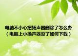 电脑不小心把扬声器删除了怎么办（电脑上小扬声器没了如何下载）