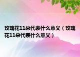 玫瑰花11朵代表什么意义（玫瑰花11朵代表什么意义）