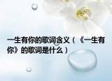 一生有你的歌词含义（《一生有你》的歌词是什么）