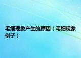 毛细现象产生的原因（毛细现象例子）