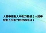 人脑中控制人平衡力的是（人脑中控制人平衡力的是哪部分）
