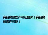 商品房预售许可证图片（商品房预售许可证）