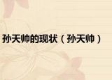 孙天帅的现状（孙天帅）