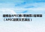 鍖椾含APEC娆㈣繋鏅氬甯冪疆（APEC迎宾文艺演出）