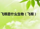 飞棍是什么生物（飞棍）