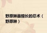 野原琳最擅长的忍术（野原琳）
