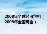 2008年全球经济危机（2008年全国两会）