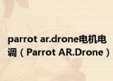 parrot ar.drone电机电调（Parrot AR.Drone）