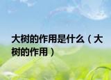 大树的作用是什么（大树的作用）