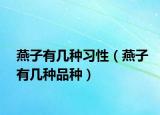 燕子有几种习性（燕子有几种品种）
